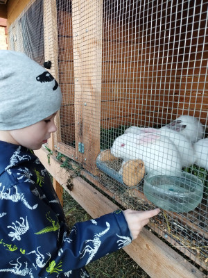 Баужадзе Сергей Давидович