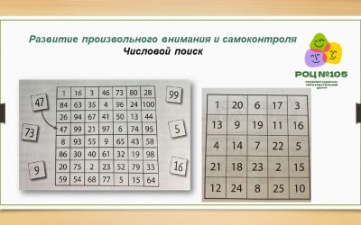 Учимся развивать когнитивные навыки подростков: экспертные советы от специалистов ГБОУ РОЦ № 105 г. Москвы